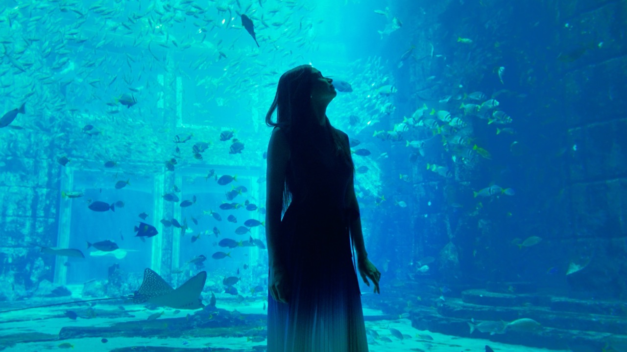 Underwater scene from the Atlantis The Palm brand film