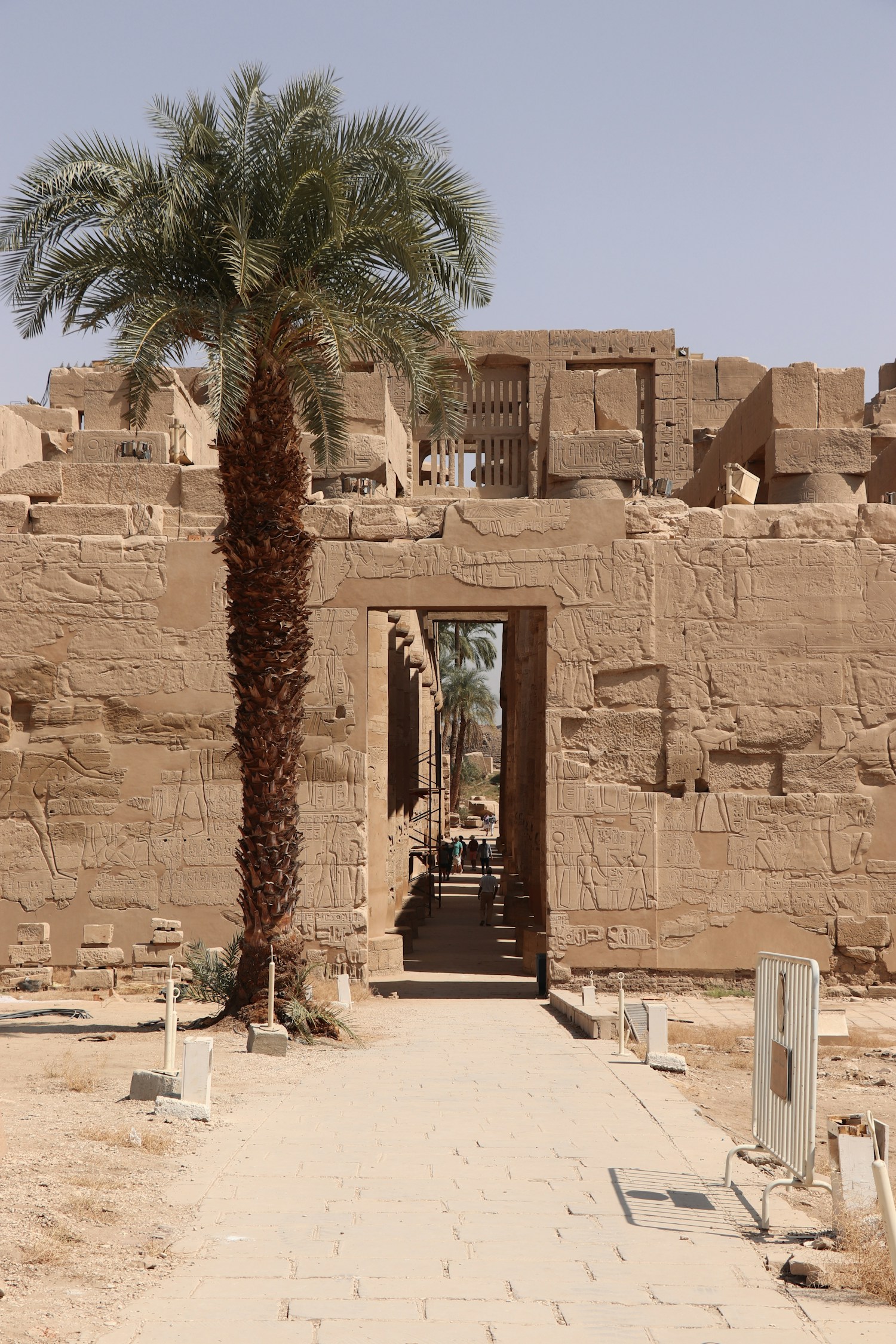 Sunlit sandstone and palm trees at Luxor Temple in Egypt